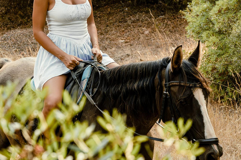 Albufeira: Horseback Ride with Tapas and Wine