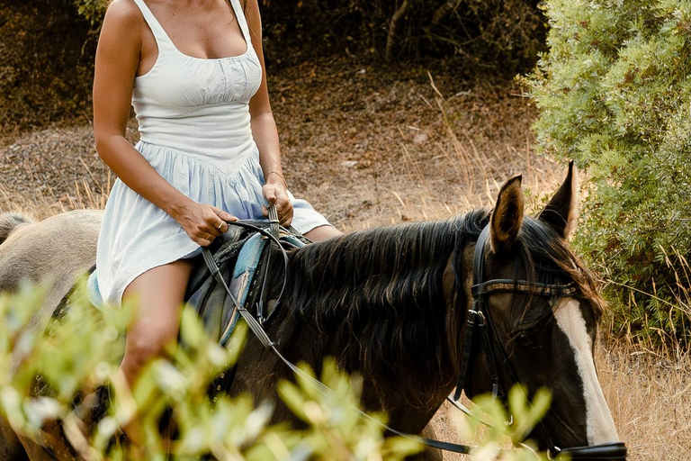 Albufeira: Horseback Ride with Tapas and Wine