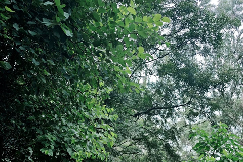 Guangzhou Baiyun Mountain: Skip-the-Line Entry Ticket