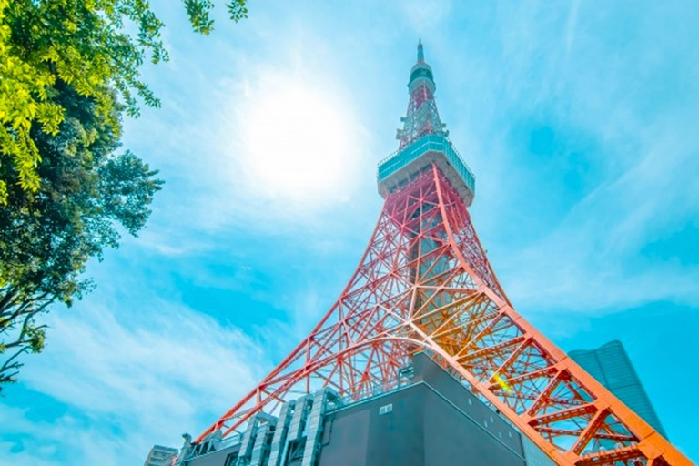 Tokyo: Sumo Entertainment with Japanese Meal at Tokyo Tower Front row VIP seats