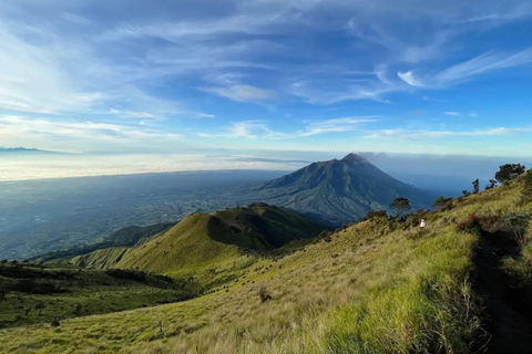Mount Merbabu Sunrise with Transport, Ticket All InclusiveFrom Borobudur: Merbabu Sunrise All Inclusive