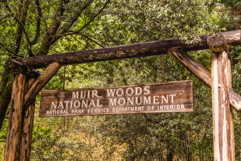 Tour privato di San Francisco Golden Gate Sausalito Muir Woods