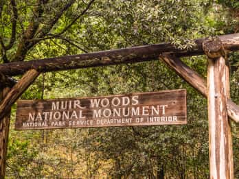 San Francisco Golden Gate Sausalito Muir Woods Private Tour