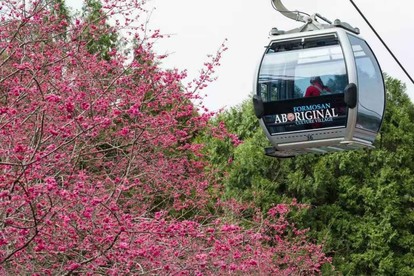 Taiwan Sightseeing Bus {Official}:Sun Moon Lake One-Day Tour - Taiwan Sightseeing Bus {Official}:Sun Moon Lake One-Day Tour