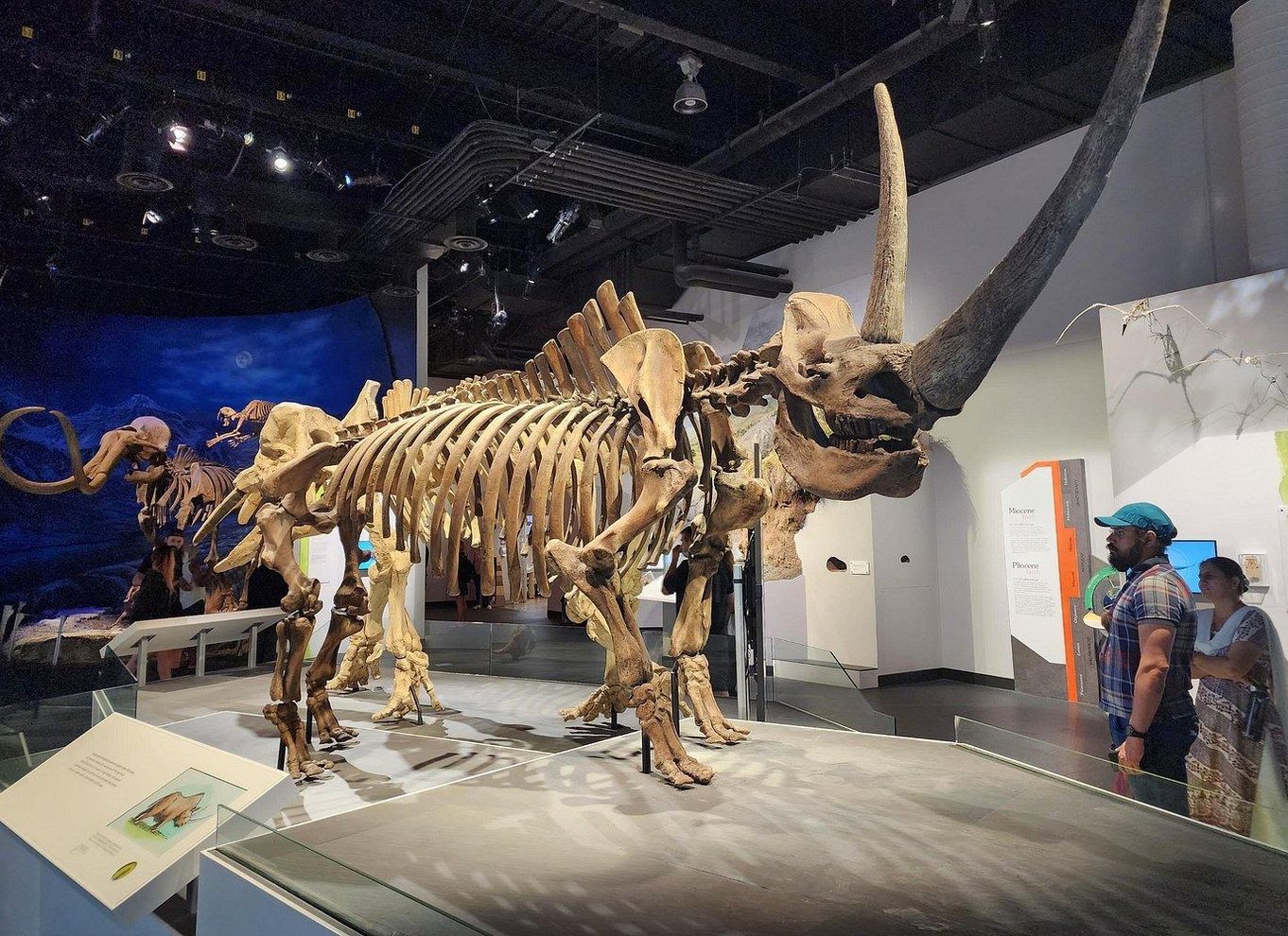 Badlands-tur: Drumheller med museum, hoodoos og dinosaurer