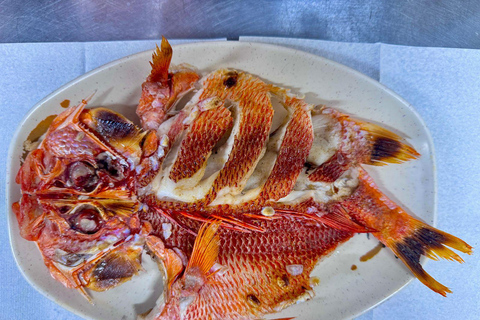 Okinawa Tour: Shurijo Castle, Cape Manza, Kouri &amp; Aquarium