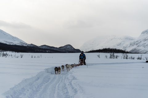 Tromsø: Easy Dog Sledding Tour & Kennel Visit