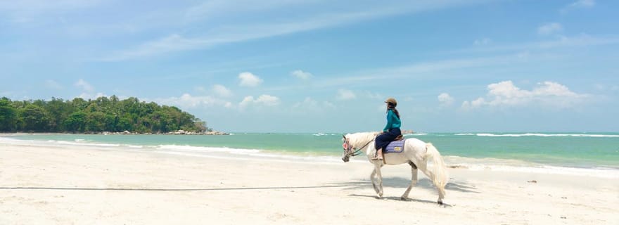 Promenade guidée à cheval aux Bahamas : port et plage de sable rose