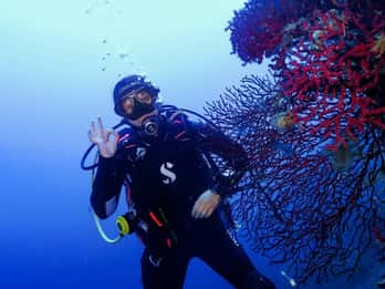 Elba Island: Double Dive with Instructor and Snacks