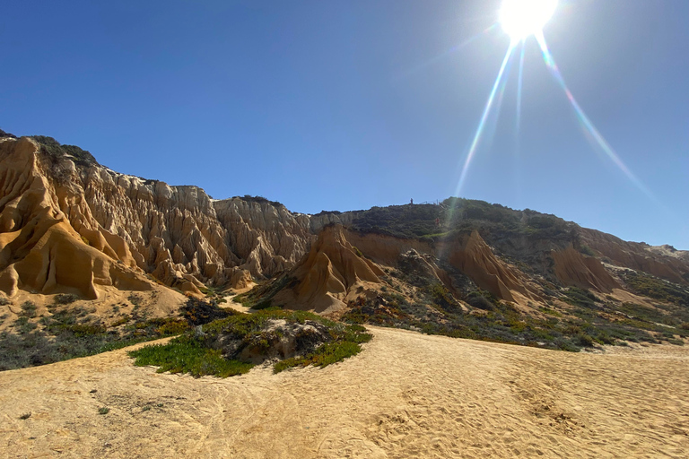 De Lisboa al Algarve; Traslado guiado con extra ¡Guau!