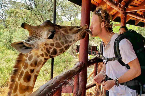 Nairobi: Nationaal park, Giraffe Center &amp; Souvenir TourNairobi: Nationaal park, Giraffecentrum &amp; Souvenir Tour