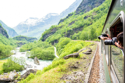 Bergen: Flåm Railway, Nærøyfjord Cruise & Stegastein View