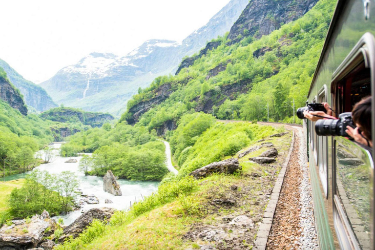 Bergen: Flåm Railway, Nærøyfjord Cruise & Stegastein View