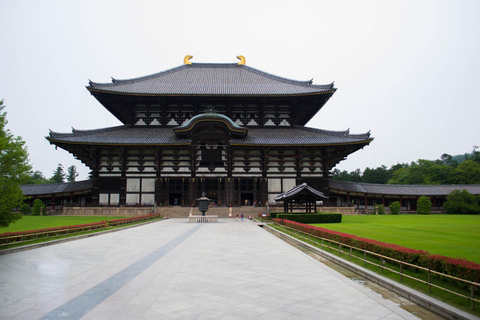 From Osaka/Kyoto: Kyoto & Nara Private Sightseeing Day Trip Pick-up From Kyoto: Kyoto & Nara Private Day Trip