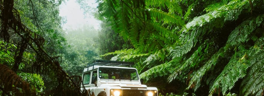 Priv. Est : Circuit en 4x4|Pico do Areeiro|Santana Maisons typiques|