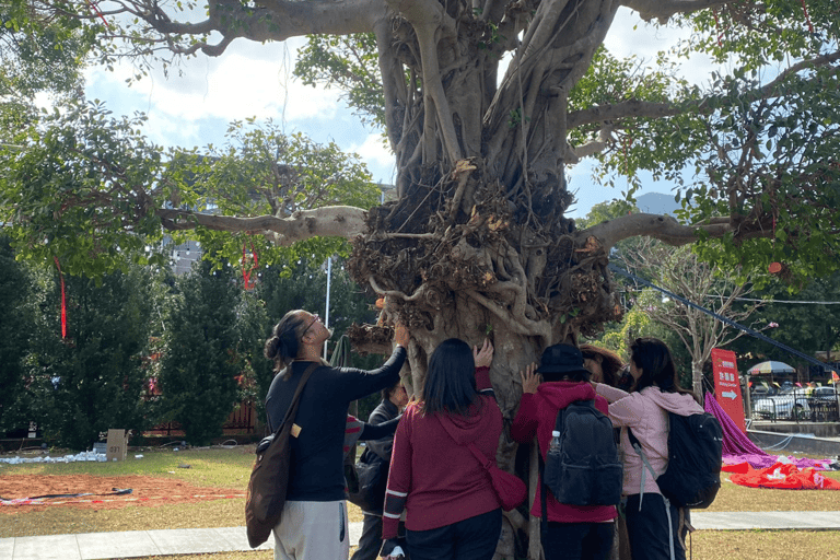 Hongkong: Guidad upplevelse av skogsterapi