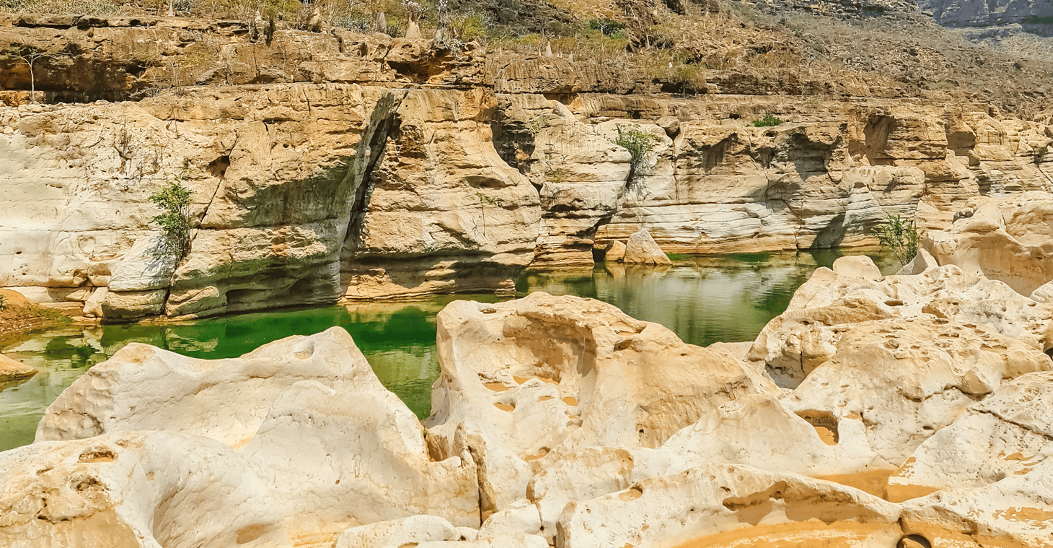 8 Days - Enchanting Socotra Escape - Housity