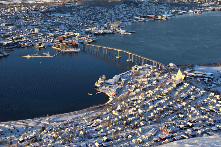 Tromsø: Fjellheisen Local Guided Hike
