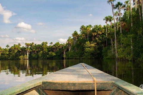 Puerto Maldonado: 4-daags Amazone jungle avontuur