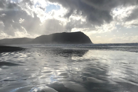 Von Portland aus: Oregon Coast Scenic Day Tour