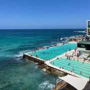 Sydney: Bondi Sunrise Yoga and Coastal Walking Tour