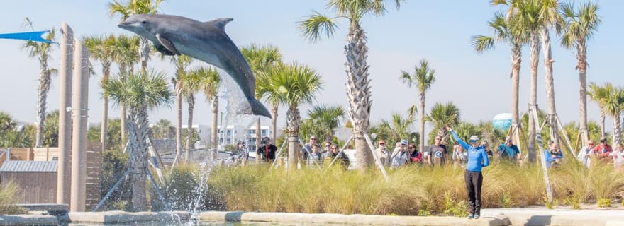 Destin: Biglietto d'ingresso per il parco avventura marina Gulfarium