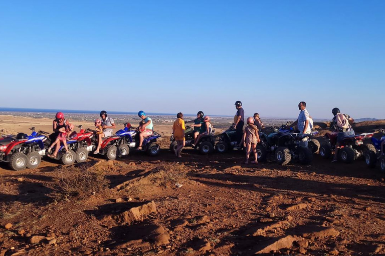 Hammamet: Camel Ride, Lunch, and Quad Biking Tour
