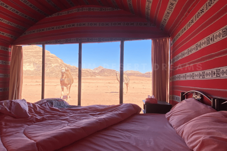 Wadi Rum: Burdah Bergwanderung und -besteigung + traditionelles Mittagessen