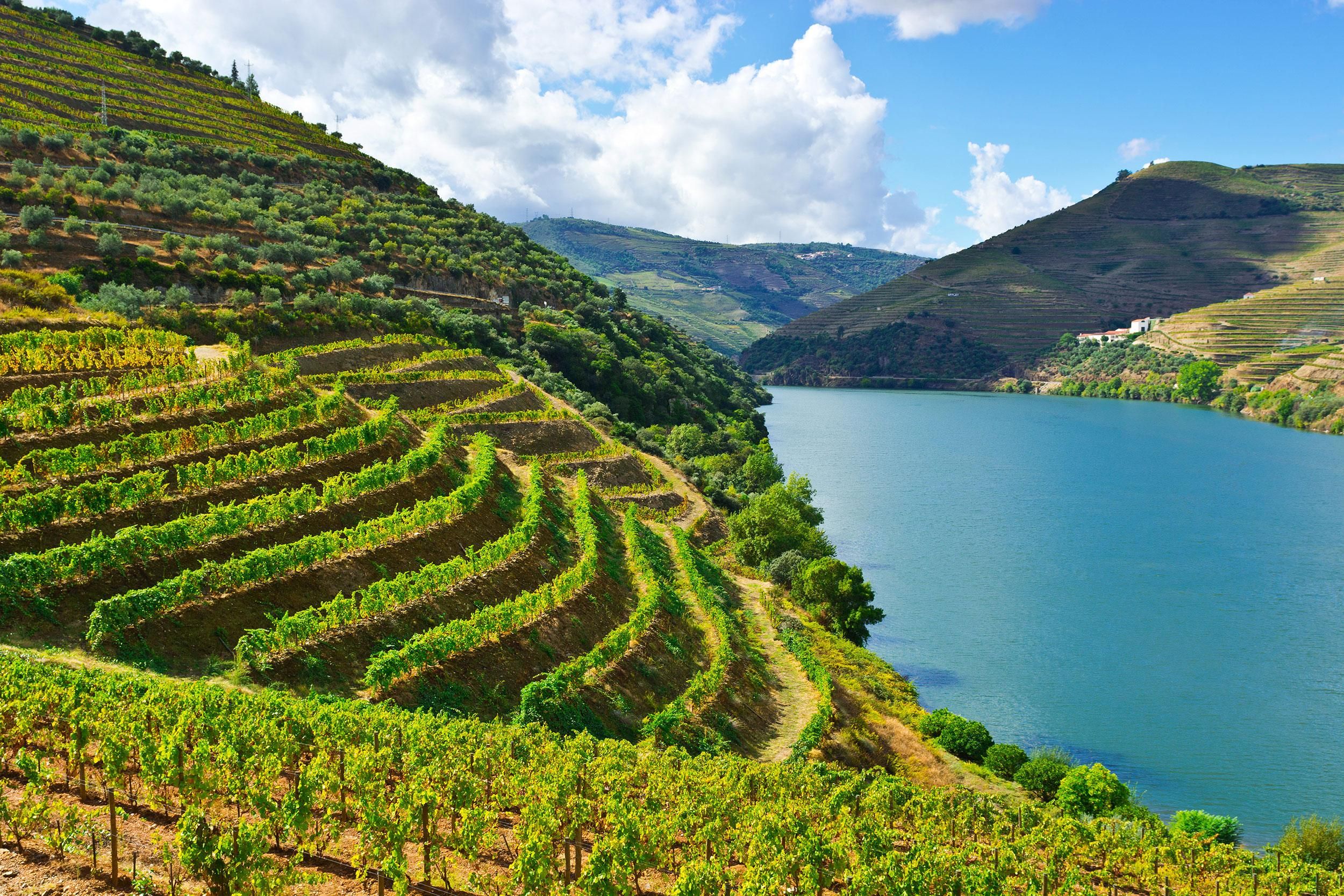 Douro-Tal & Amarante - ab Porto, Braga oder Guimarães