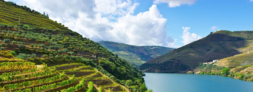 Vallée du Douro et Amarante - au départ de Porto, Braga ou Guimarães