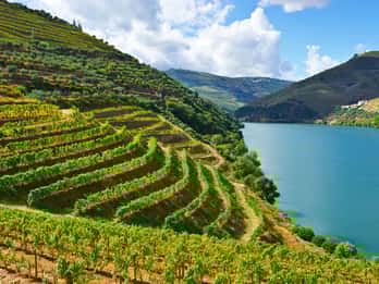 Valle del Douro e Amarante - da Porto, Braga o Guimarães