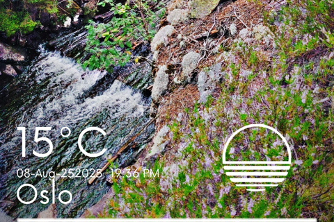 Oslo forest: Overnight Wilderness Experience