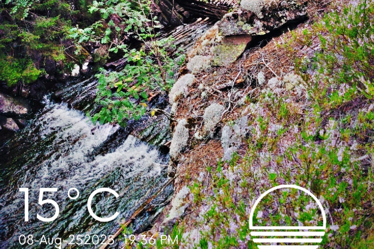 Oslo forest: Overnight Wilderness Experience