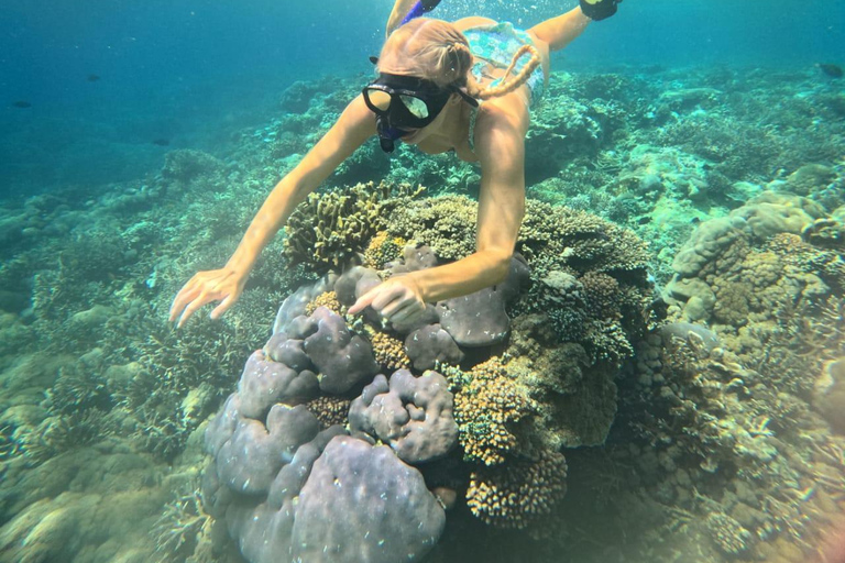 Blue Lagoon Snorkeling Tour particular em um barco com deckBarco privativo no deque ao sol Ponto de encontro para mergulho com snorkel na Lagoa Azul