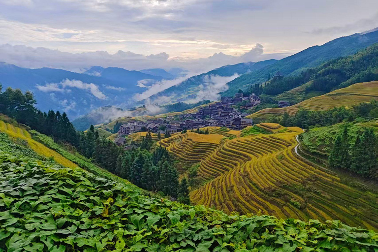 Longji Rice Terraces Easy Exploration Tour by Golf Cart