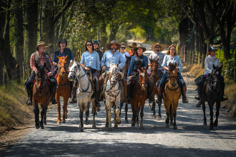 Cundinamarca: La Calera Horseback Riding Tour