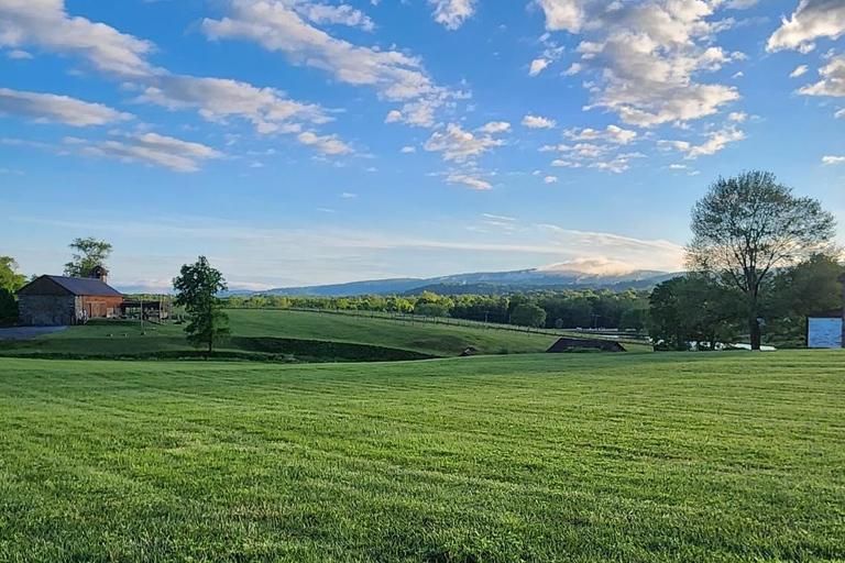 Winery Bus Tour from Metro DC - Visit 3 Wineries in One Day!