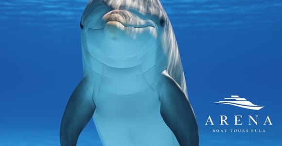 Pula: Brijuni-Delfinbeobachtung bei Sonnenuntergang, Abendessen und Getränke Pula: Brijuni-Delfinbeobachtung bei Sonnenuntergang, Abendessen und Getränke