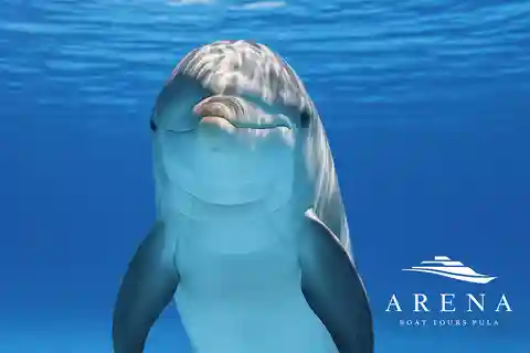 Pula:FANTASTISK DOLPHIN-SOLNEDGÅNGSTUR, MIDDAG & DRINKAR( BRIJUNI)