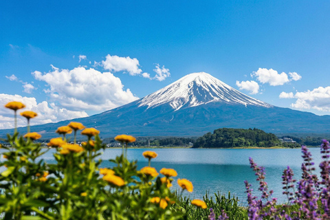 Tokyo: Mt Fuji & Oishi Park, Oshino Hakkai, Chureito Pagoda Free Karaage Chicken Set | Tokyo Station 8:00AM