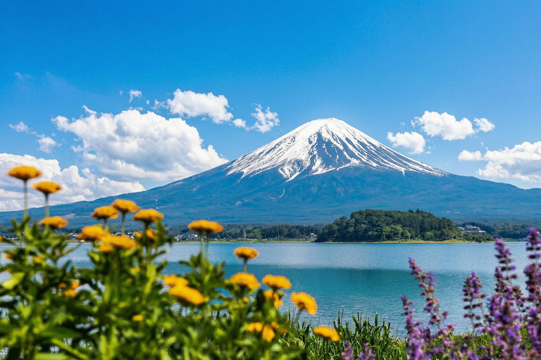 Tokyo: Mt Fuji & Oishi Park, Oshino Hakkai, Chureito Pagoda Free Karaage Chicken Set | Tokyo Station 8:00AM