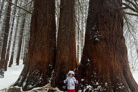 Small Group: Sofia to Kyustendil Fortress & Sequoia Park