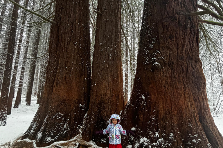 Small Group: Sofia to Kyustendil Fortress & Sequoia Park