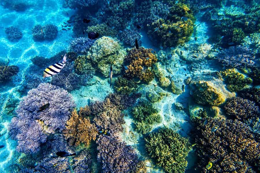 Tagestour in Nha Trang: Hon Mun Marine Park, Ray Beach, Bich Dam. Foto: GetYourGuide Tagestour in Nha Trang: Hon Mun Marine Park, Ray Beach, Bich Dam. Foto: GetYourGuide