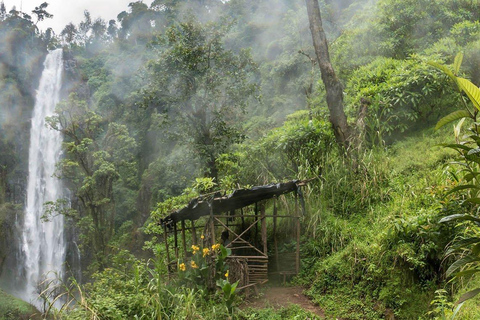 Termas de Chemka, Cascadas de Moshi Materuni y Tour del Café