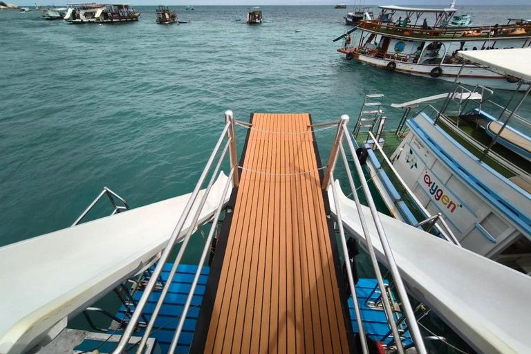 Koh Tao in a Day: Turtles, Hidden Reefs & Nangyuan Viewpoint