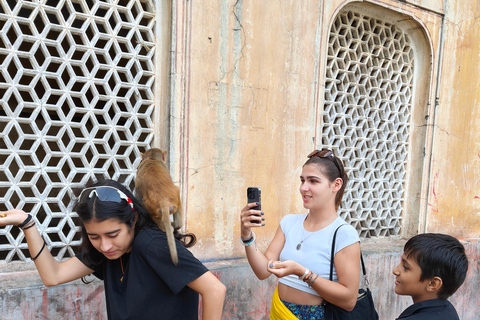 tour de la ciudad de jaipur con templo de los monos en vehículo ac