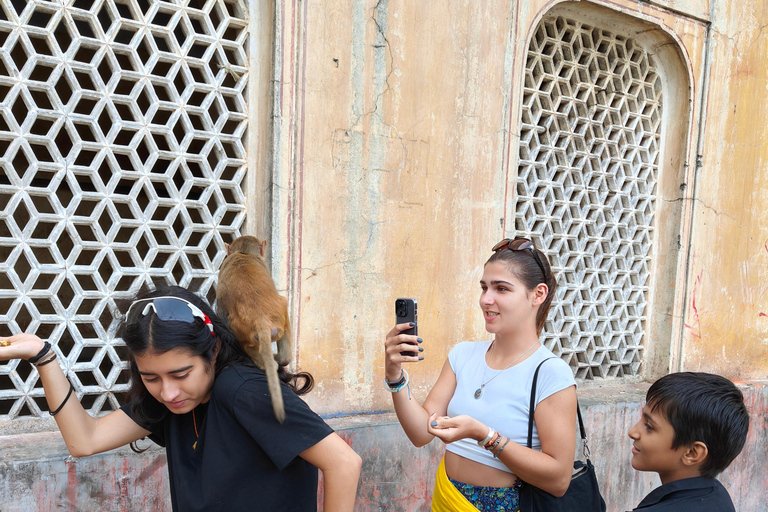 Stadstur i Jaipur med aptemplet med ac-fordon