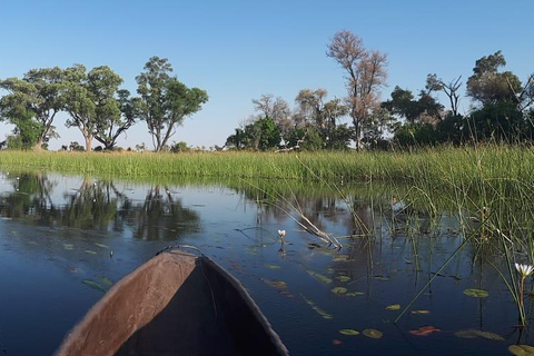 Delta del Okavango: Excursión en Mokoro/Canoa de 1 día, todo incluido