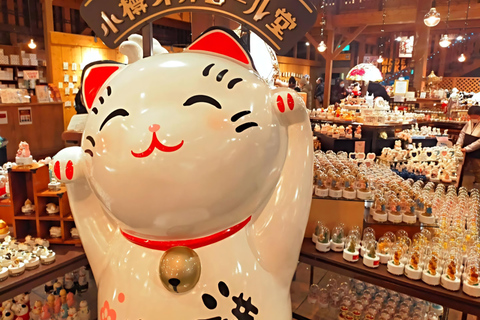 Tokyo, Mt. Fuji, Kyoto, Osaka: 7-Day Private Tour of Japan